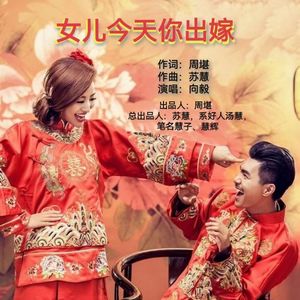 女儿今天你出嫁(伴奏)