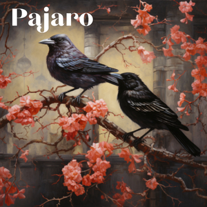 Pájaro