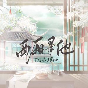西厢寻他（DJ小瑞版0.9x降调）