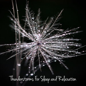 Thunderclaps (Rain)