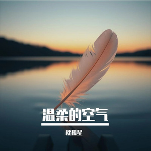 温柔的空气