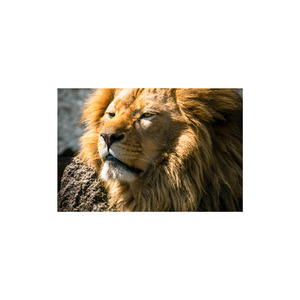 “O jantar pode esperar “