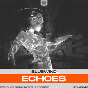 Echoes