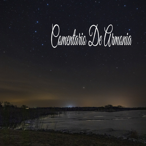 Sin Malas Deciciones