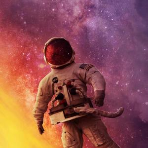 花开（翻自 Copy）