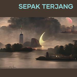 Sepak Terjang