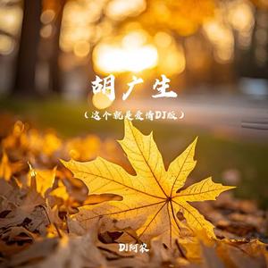 胡广生（这个就是爱情DJ版）