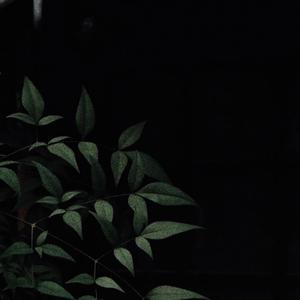 GOUNIANMOTUO(free beat）