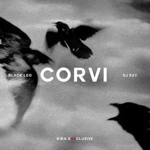Corvi