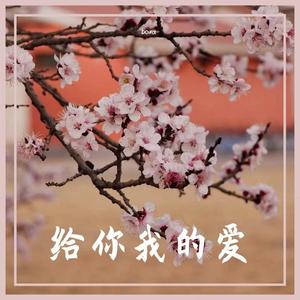 给你我的爱