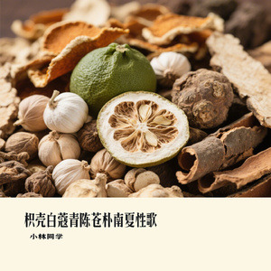 枳壳白蔻青陈苍朴南夏性歌