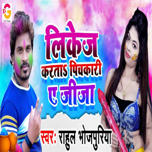 Likej Karta Pickari Ye Jija