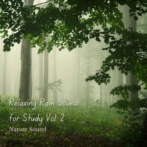 Nature Sound: Relaxing Rain Sound for Study Vol. 2 - 1 Hour