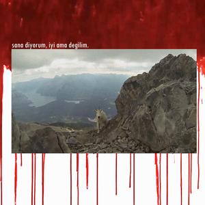 çok ŞÜKÜR iyiyiz (SKIT)