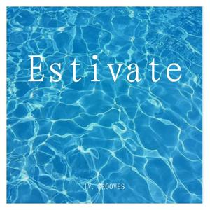 心太硬（IV. GROOVES remix）