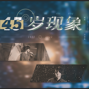 45岁现象（孤勇版）