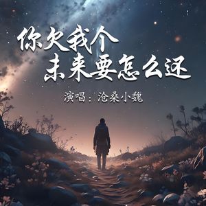 你欠我个未来要怎么还