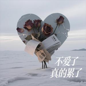 不爱了真的累了