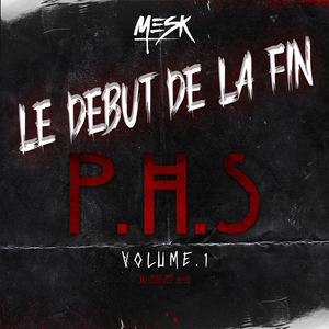 Le début de la fin. (PHS Vol.1)