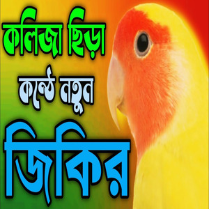কলিজা সিরা কন্ঠে নতুন জিকির l মন প্রাণ জুড়ানো জিকির l নবীর প্রেম ভালবাসার জিকির l জিকির