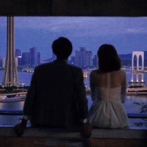 你怎么蠢到我喜欢你都不知道（女声版）