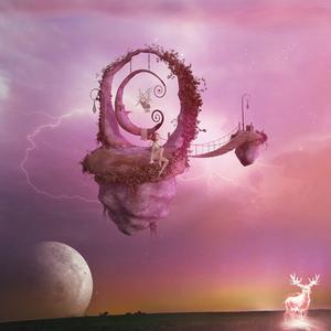 Peaceful and Starry Nights