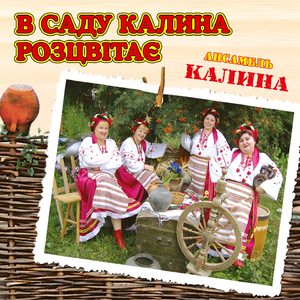 В саду калина розцвітає