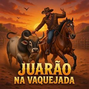 JUARÃO NA VAQUEJADA