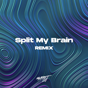 Split My Brain (Remix)