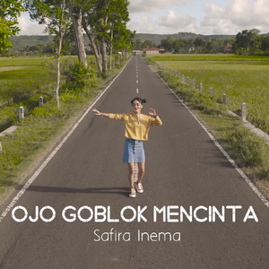 Ojo Goblok Mencinta