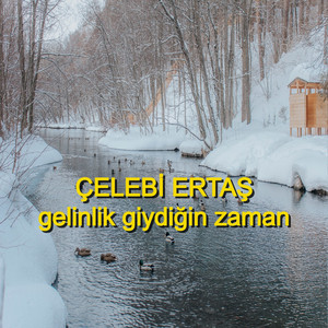 Gelinlik Giydiğin Zaman