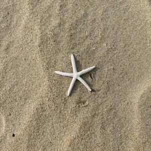 如果爱是场限时表演