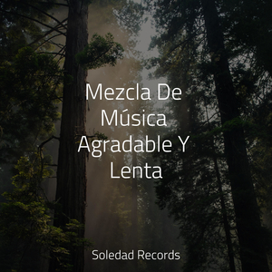 Hamaca En Los Árboles