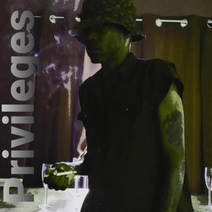 Privileges