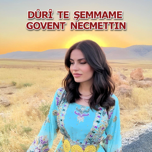 Min Get Nedikarî Bikenim