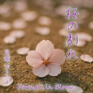 桜の別れ