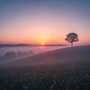 Shine Through the Clouds