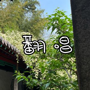 那栋楼