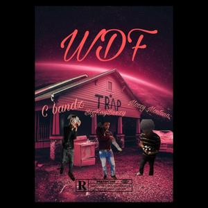 WDF (feat. BigKayBeezy & Mozzy Montana)