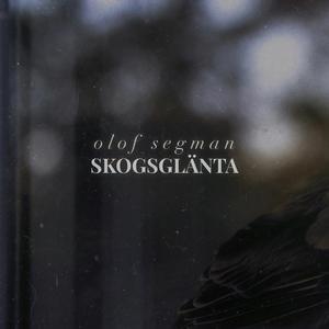 Skogsglänta