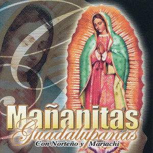 Nochesitas Tapatias