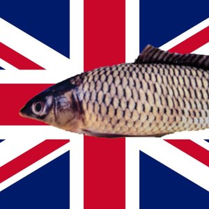 Карпский рэп (English Version)