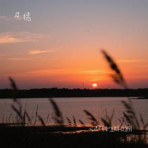 心照  (女生版0.89) (Remix)