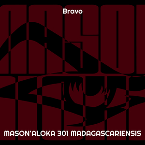 Bravo