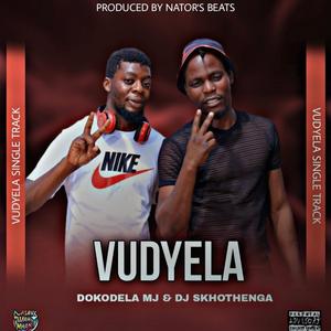 VUDYELA (feat. Dokodela Mj, Skhoteng, Magoda & Reasonator)