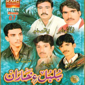 Damain Tasveerain
