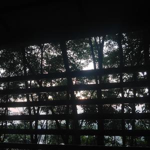 日不落(bcds翻唱)