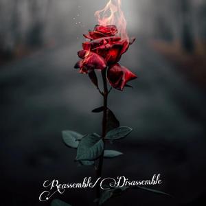 Reassemble/Disassemble (feat. Yetti Cylde)
