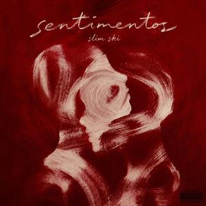 sentimentos
