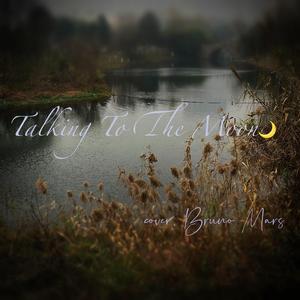 Talking to the Moon (cover. Bruno Mars)
